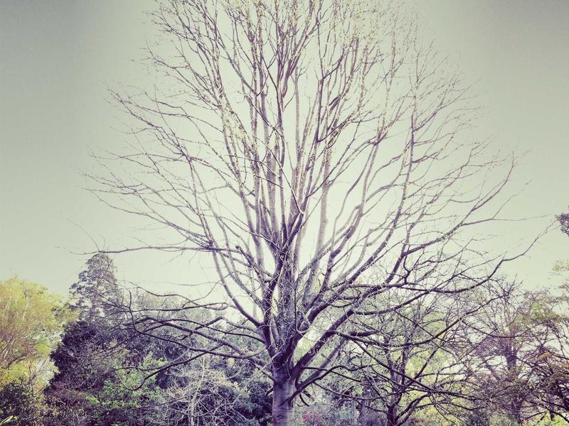 推特批量矩阵<br>多账号隔离运营批量起号方案